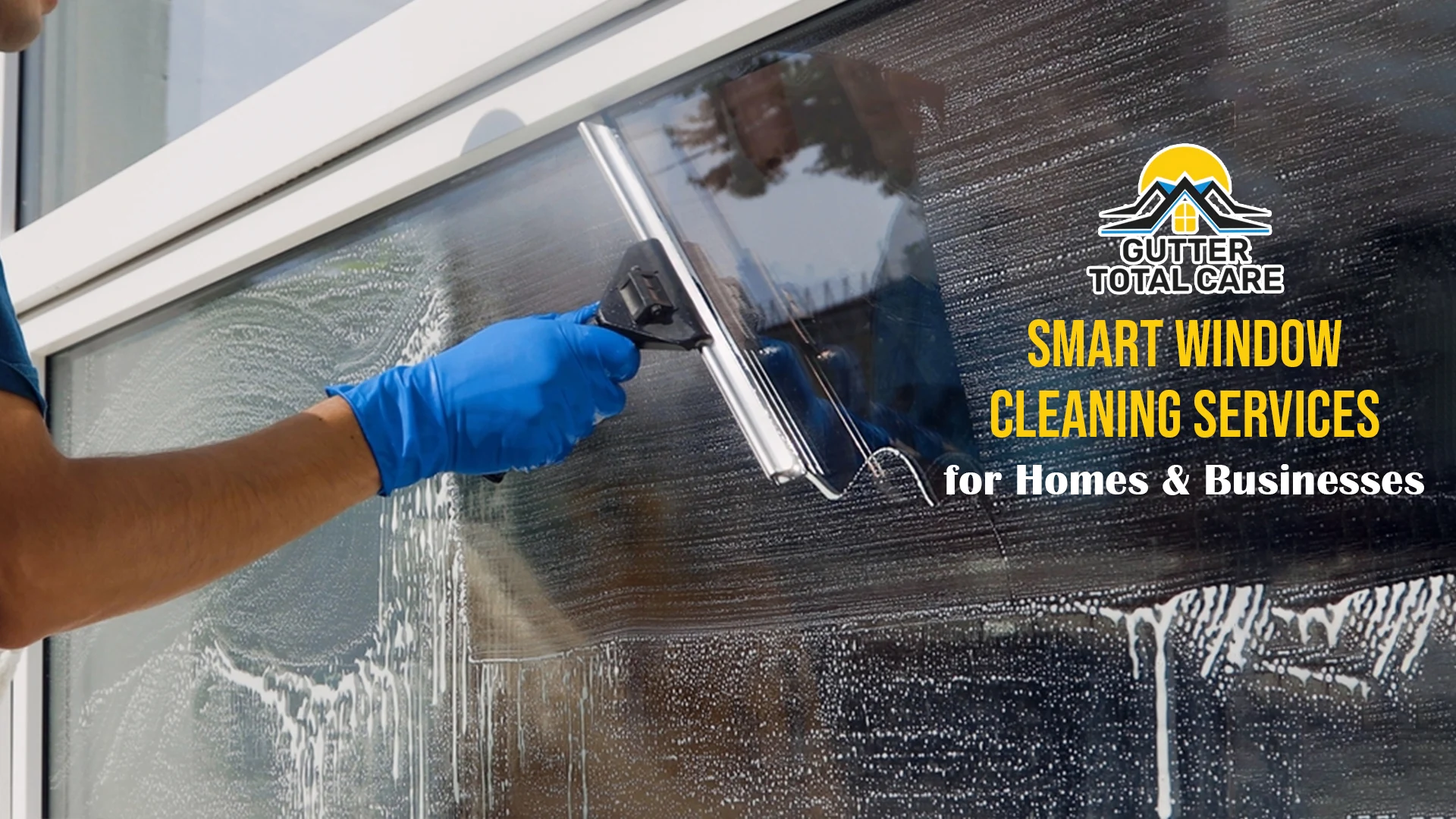 Window Cleaning Services